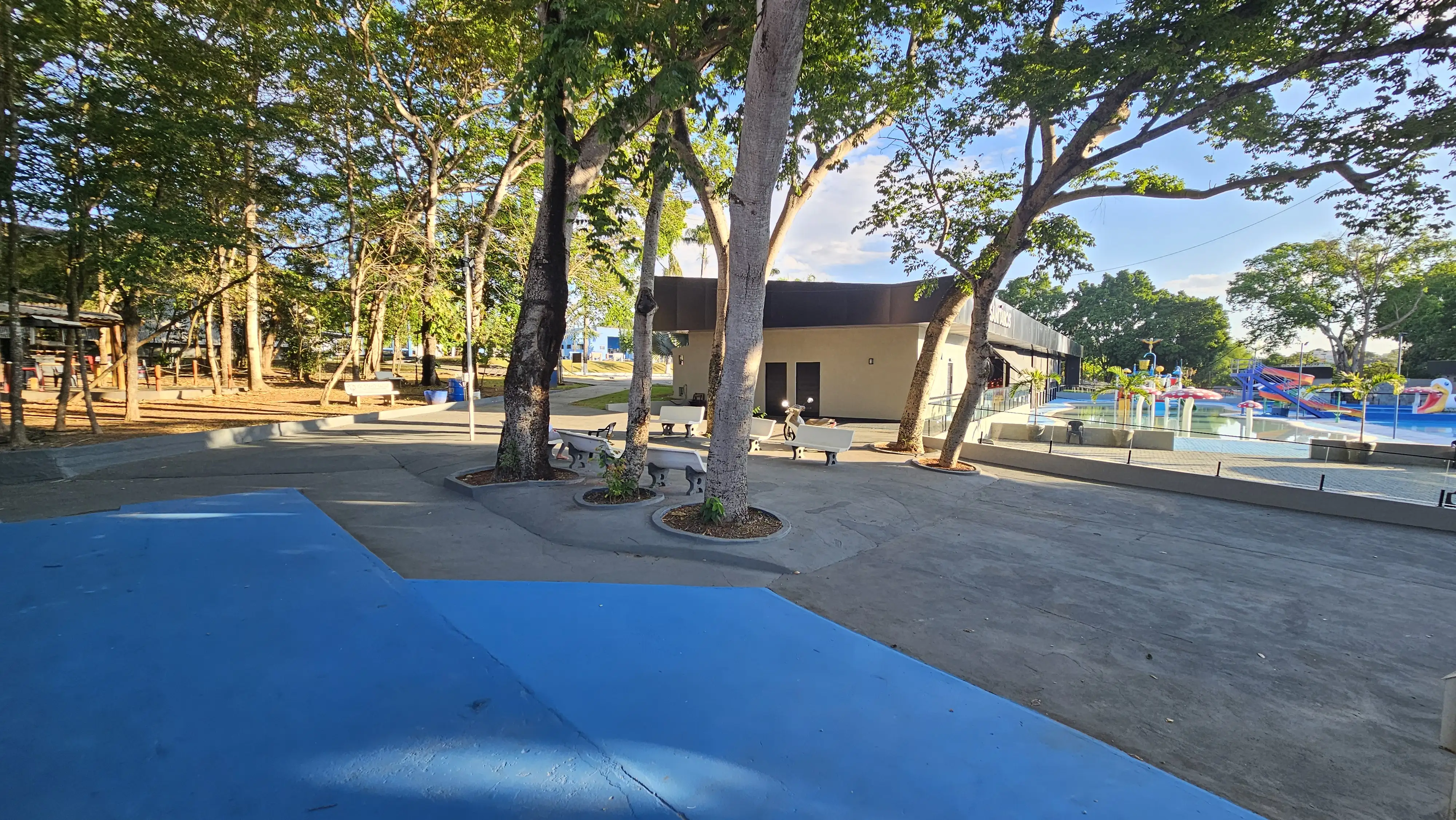 Sombra e Gramados do Clube